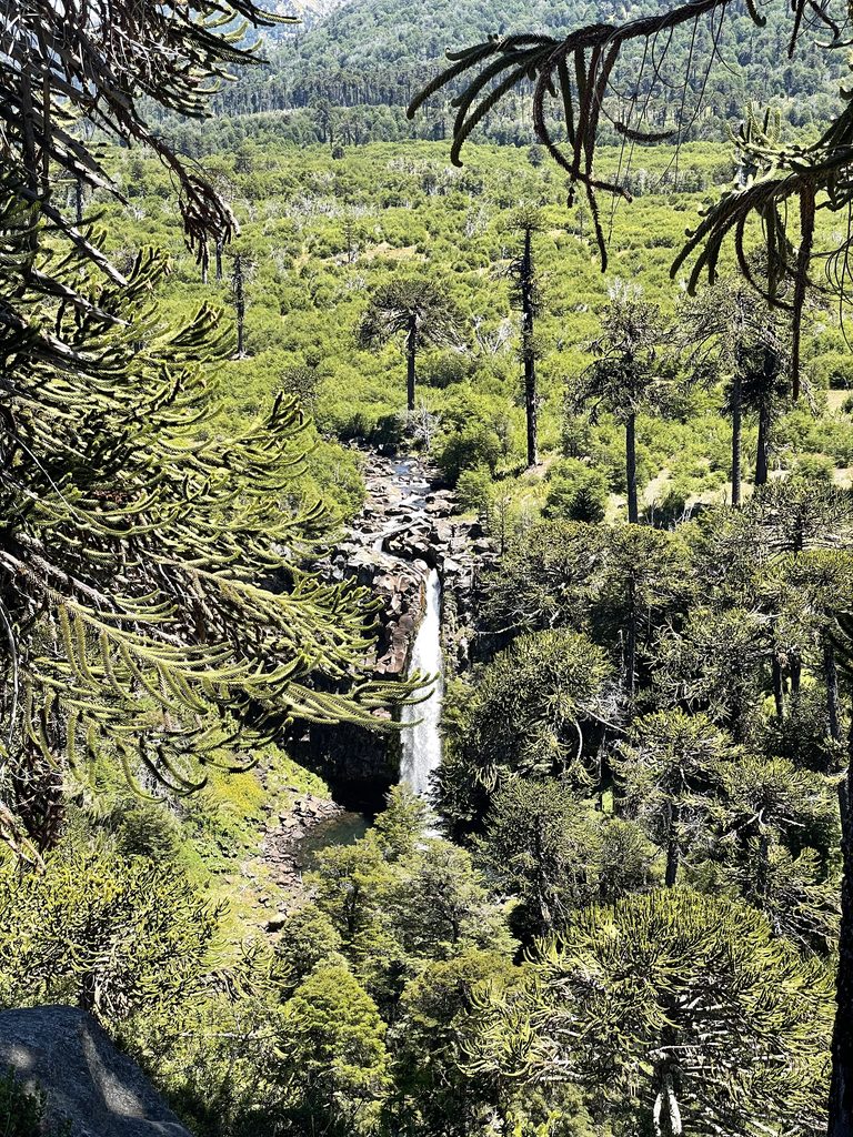 cascada coloco