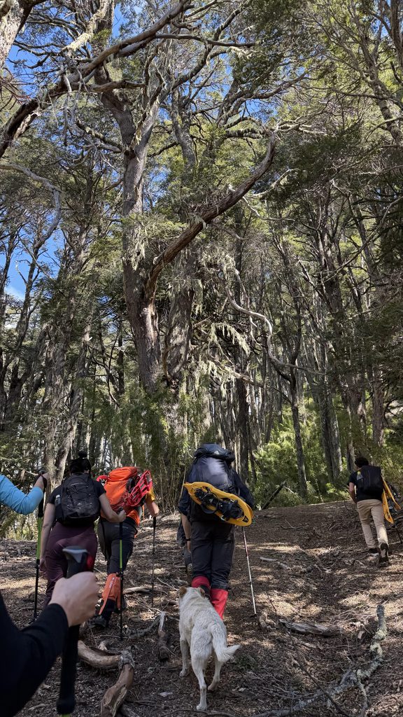 Trekking en Moquehue