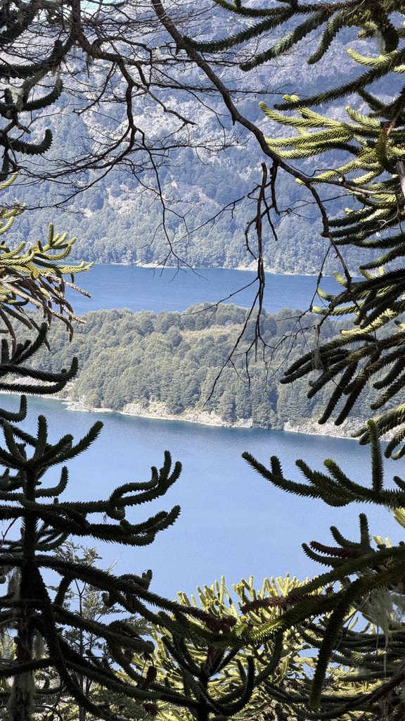 isla lepen, moquehue