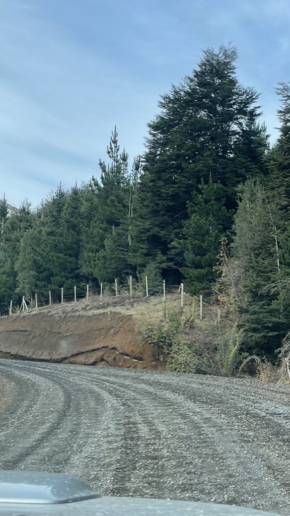 Ruta icalma - melipeuco