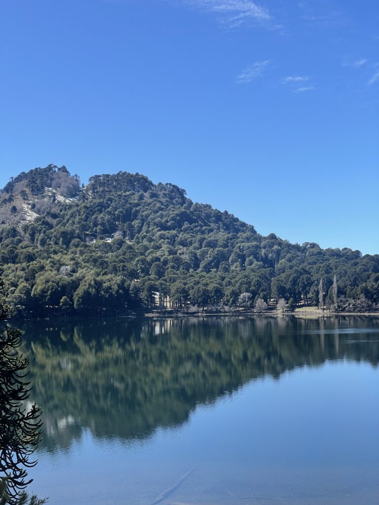 Lago Icalma, Chile.